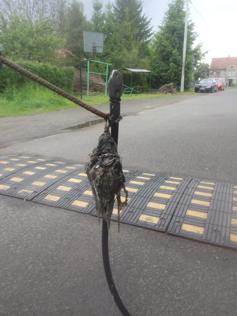 zator 